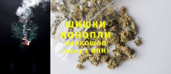 шишки Беломорск