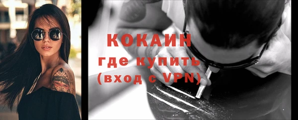 шишки Беломорск