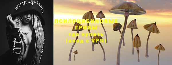 шишки Беломорск