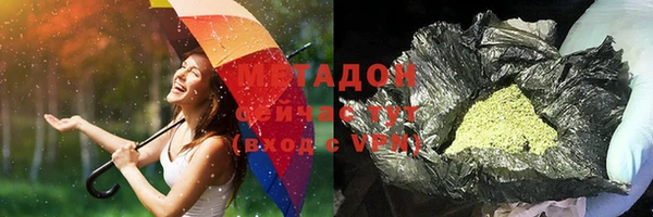 шишки Беломорск