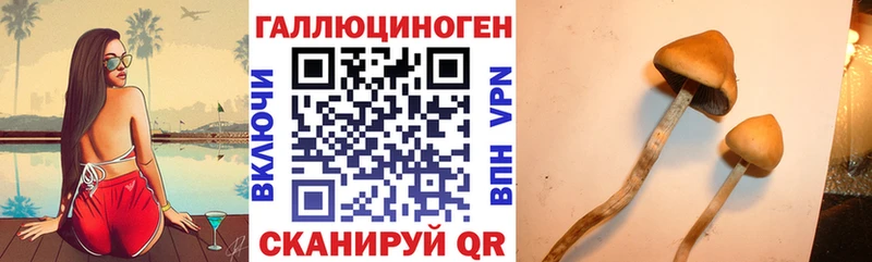 Галлюциногенные грибы Cubensis  kraken ССЫЛКА  Высоцк 